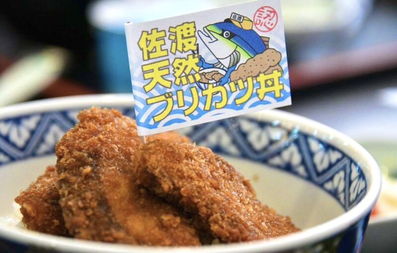 佐渡島　ブリカツ丼